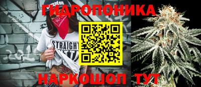 не бодяженный Заводоуковск