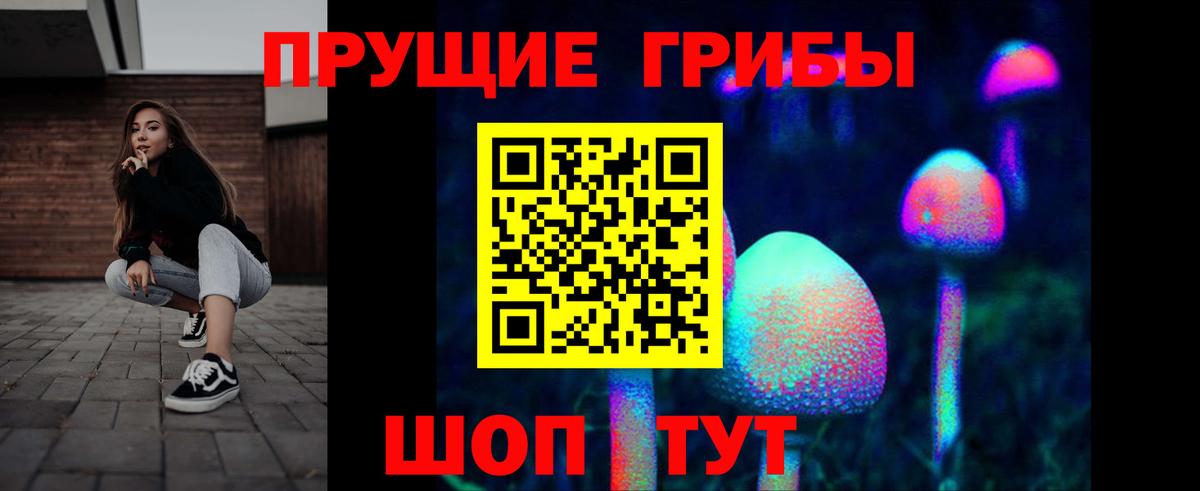 Псилоцибиновые грибы Psilocybine cubensis Лабытнанги